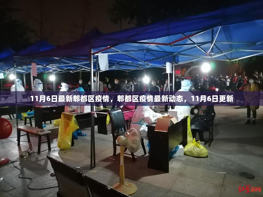 郫都区疫情动态，变化中的学习之旅，自信与成就感的源泉
