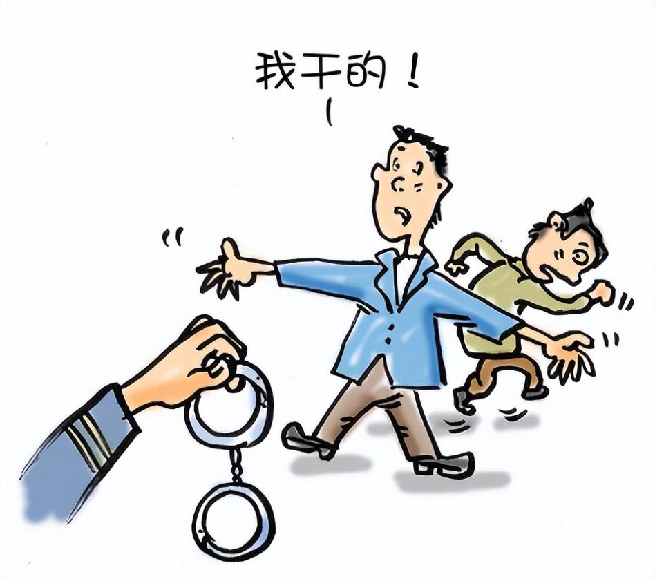 蕲春交通事故最新动态，深度分析与观点阐述