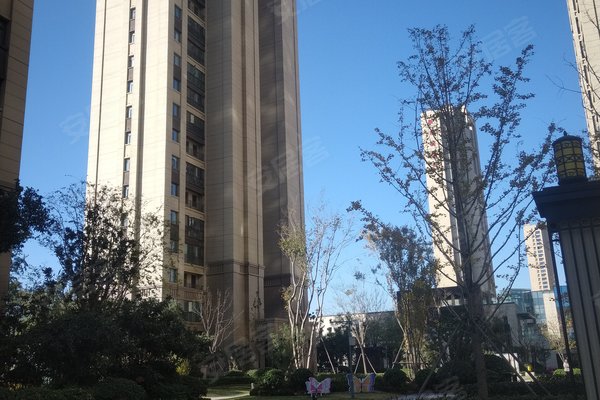 东润城最新房价,东润城最新房价背后的故事，学习、变化与自信的旅程