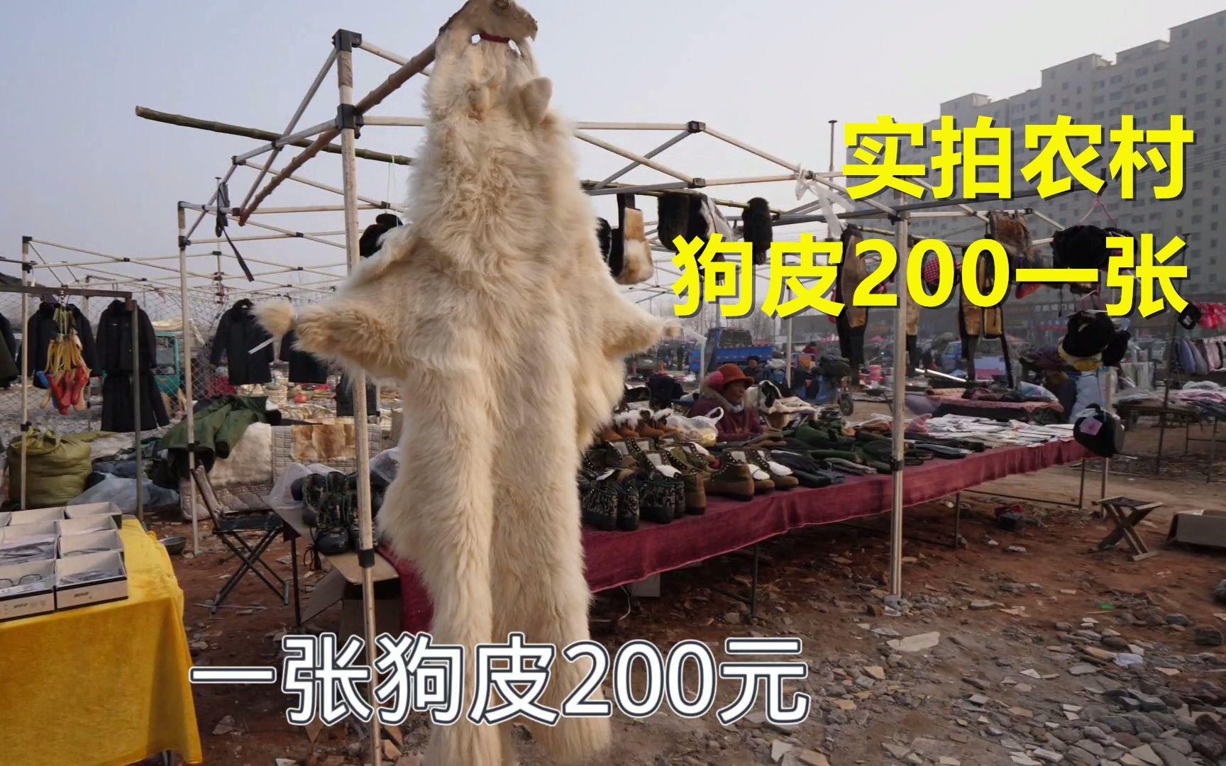 尚村最新獭兔皮价格探析，市场走势与个体观点分析