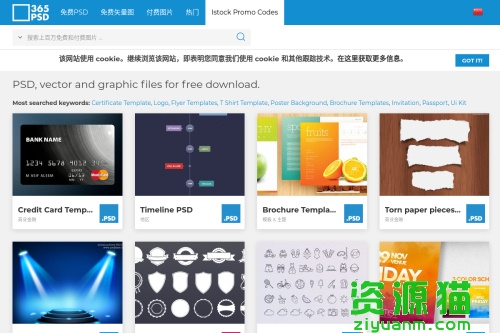 3313dd最新网页探索与操作指南全攻略