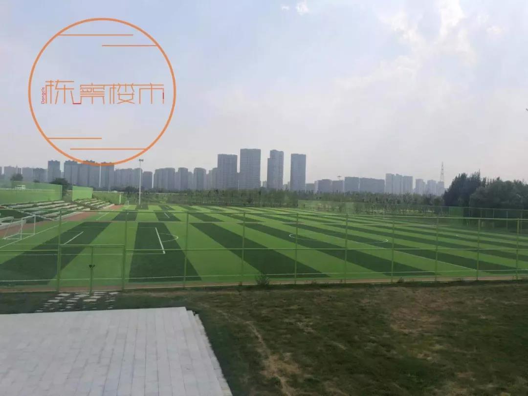 沈阳东塔桥最新进展更新