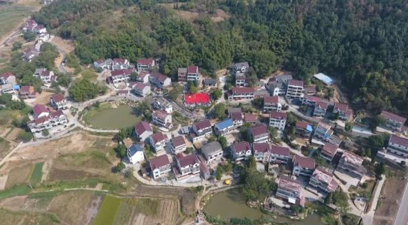 安徽庐江最新动态，自然美景探索之旅，寻觅内心平和与宁静