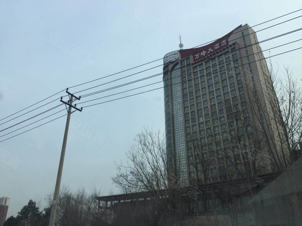 东胜龙岗天域最新价格与市场走势解读