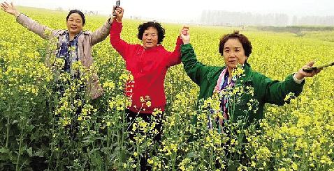 洛阳神州牡丹园最新盛况，牡丹盛开，友情永恒